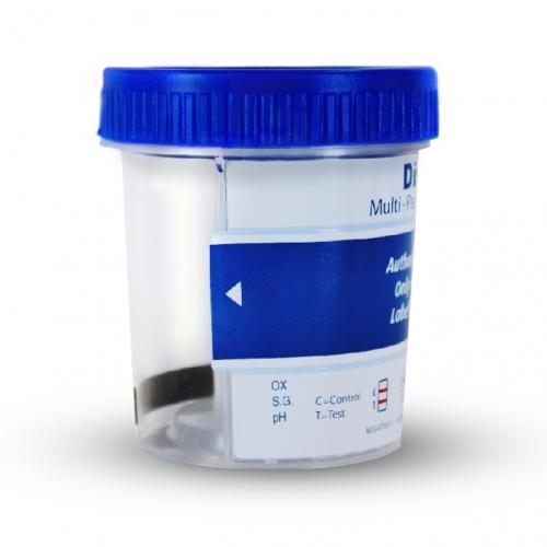 Discover -10 Panel Cup  - Photo 3